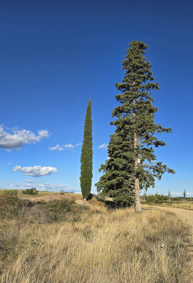 02.10.2024. Retour en Occitanie, Lagrasse