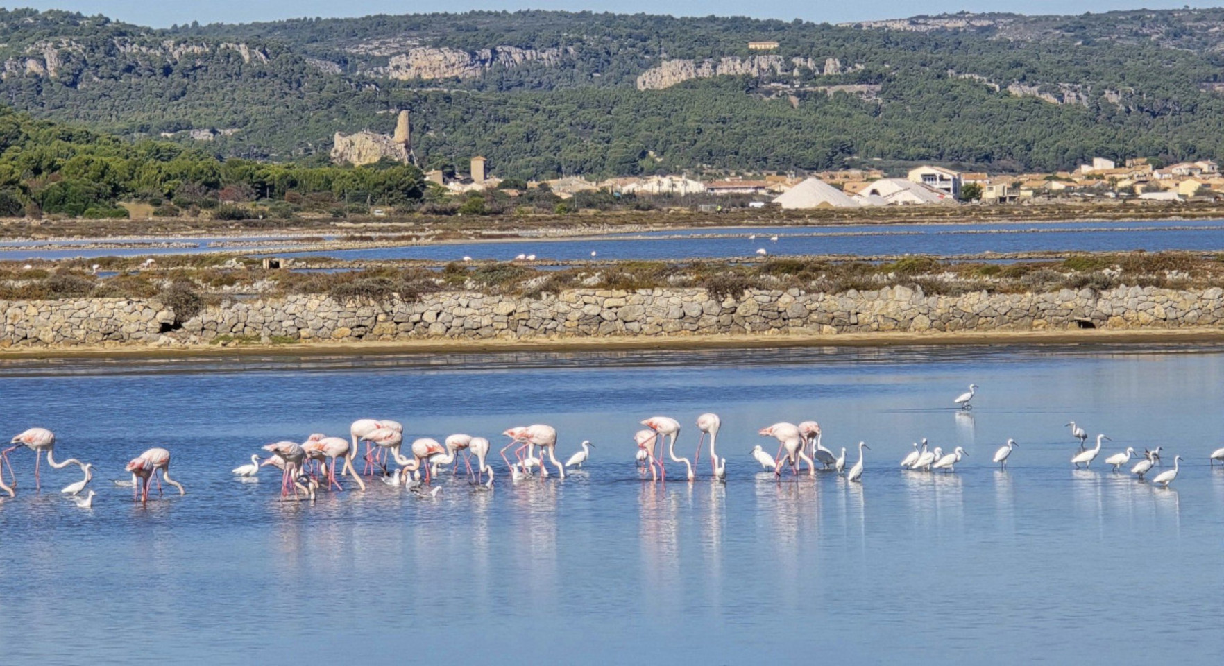 17.10.2024. Gruissan, mer à 17°, à la campagne