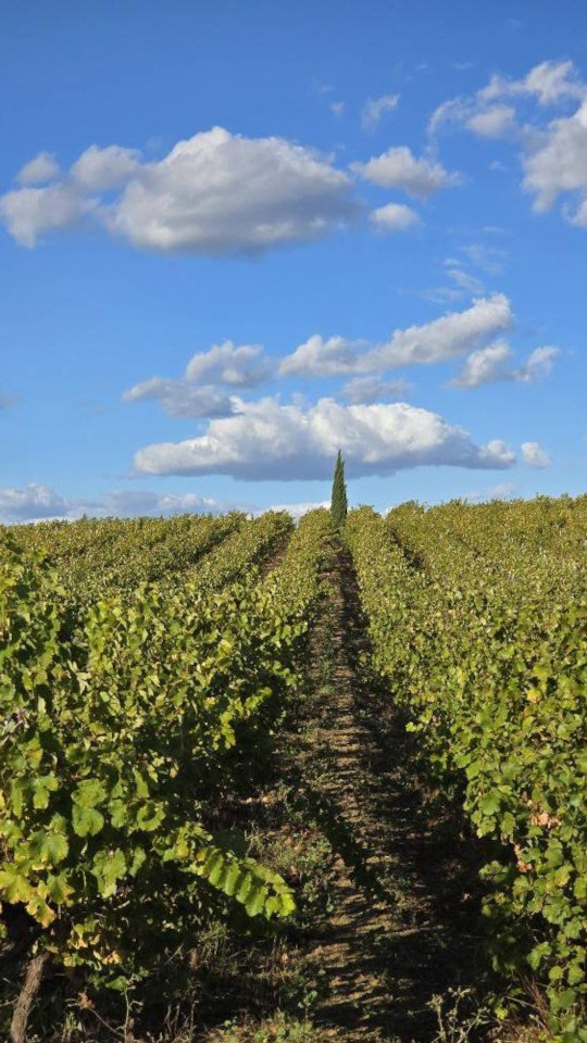 02.10.2024. Retour en Occitanie, Lagrasse