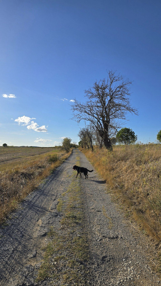 02.10.2024. Retour en Occitanie, Lagrasse