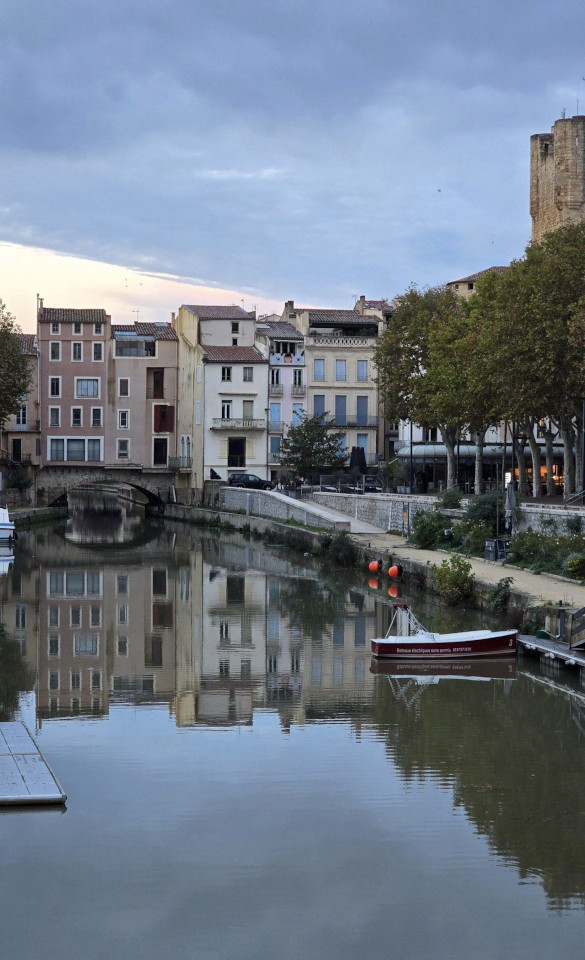 11.11.2024. Gruissan, Narbonne, oiseaux, Narbonne-Plage