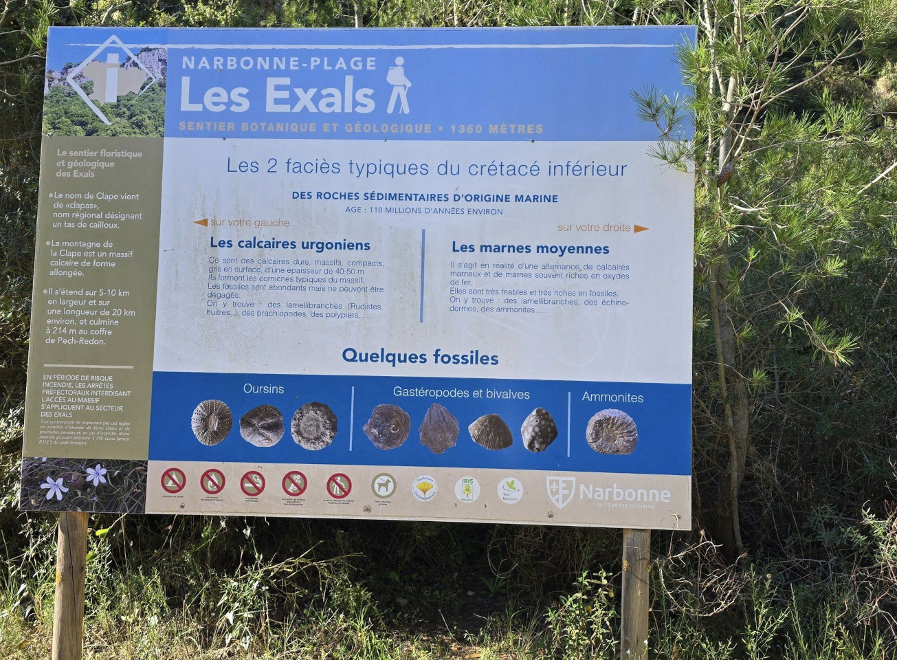 11.11.2024. Gruissan, Narbonne, oiseaux, Narbonne-Plage