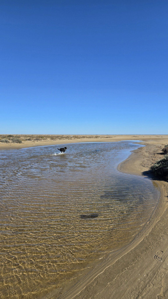 17.10.2024. Gruissan, mer à 17°, à la campagne