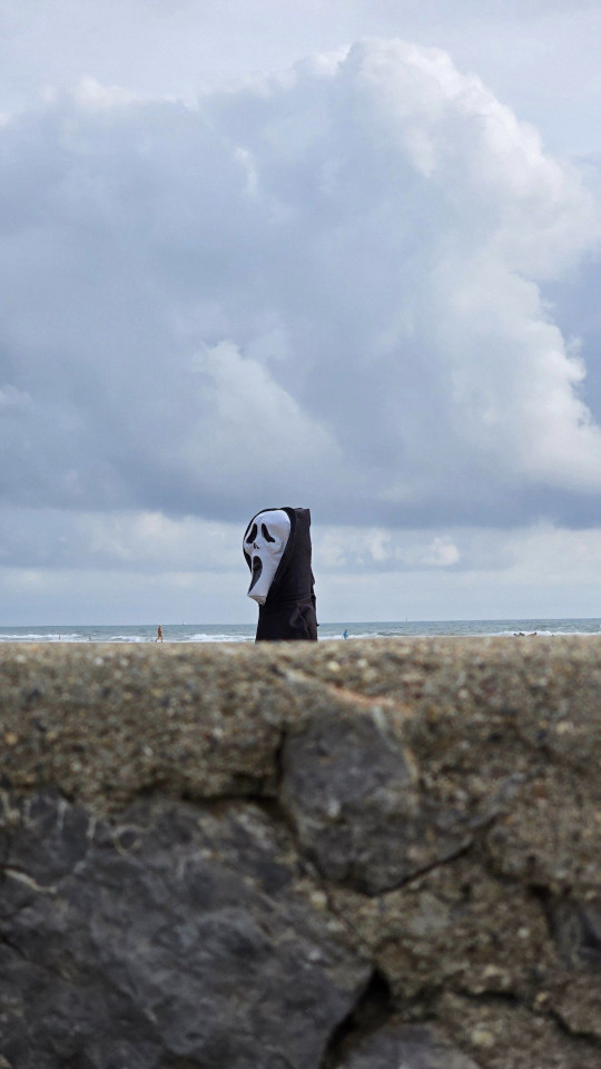 27.10.2024. Gruissan, mer à 19°, oiseaux