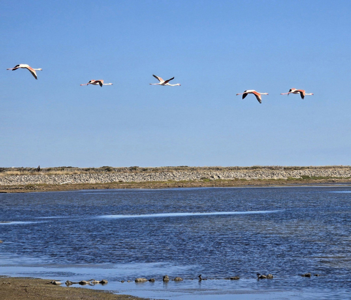 17.10.2024. Gruissan, mer à 17°, à la campagne