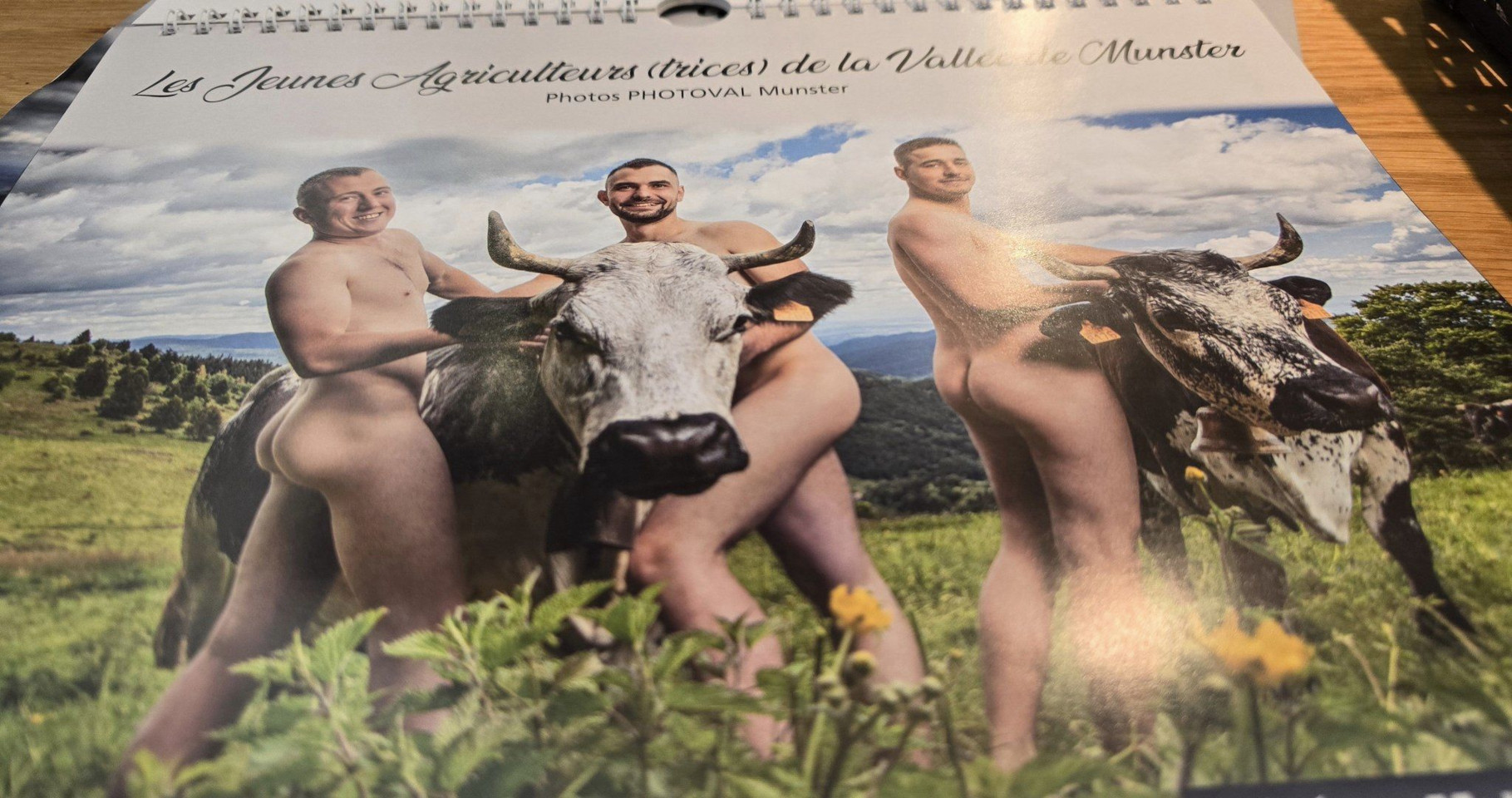 23.09.2024. Alsace, Metzeral, Le Valneige à Mittlach, humains, bovins, fleurs, scarabée