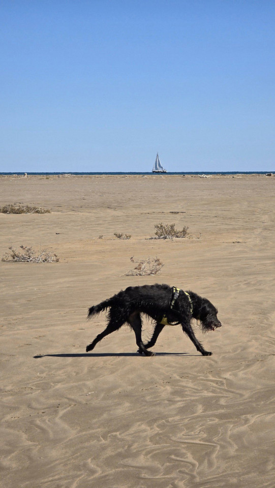 17.10.2024. Gruissan, mer à 17°, à la campagne
