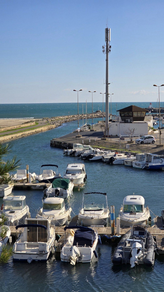 11.11.2024. Gruissan, Narbonne, oiseaux, Narbonne-Plage