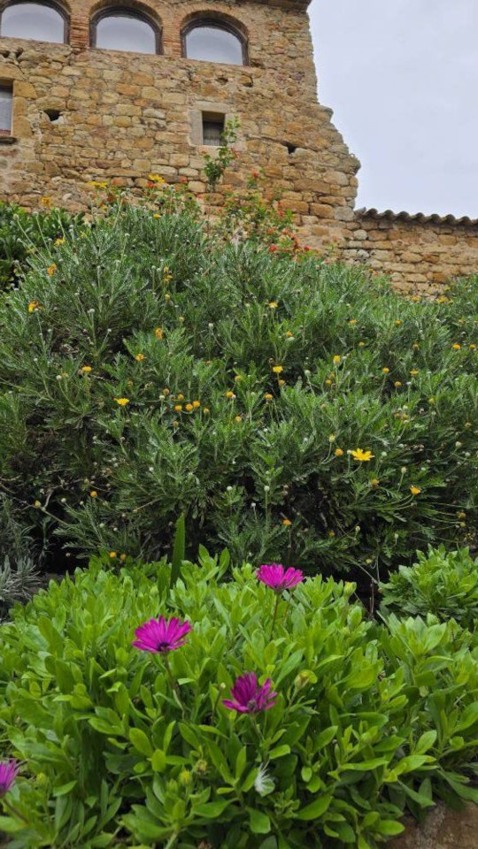 02.11.2024. Espagne : L'Estartit, Pals, Begur