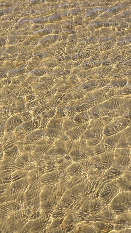 27.10.2024. Gruissan, mer à 19°, oiseaux