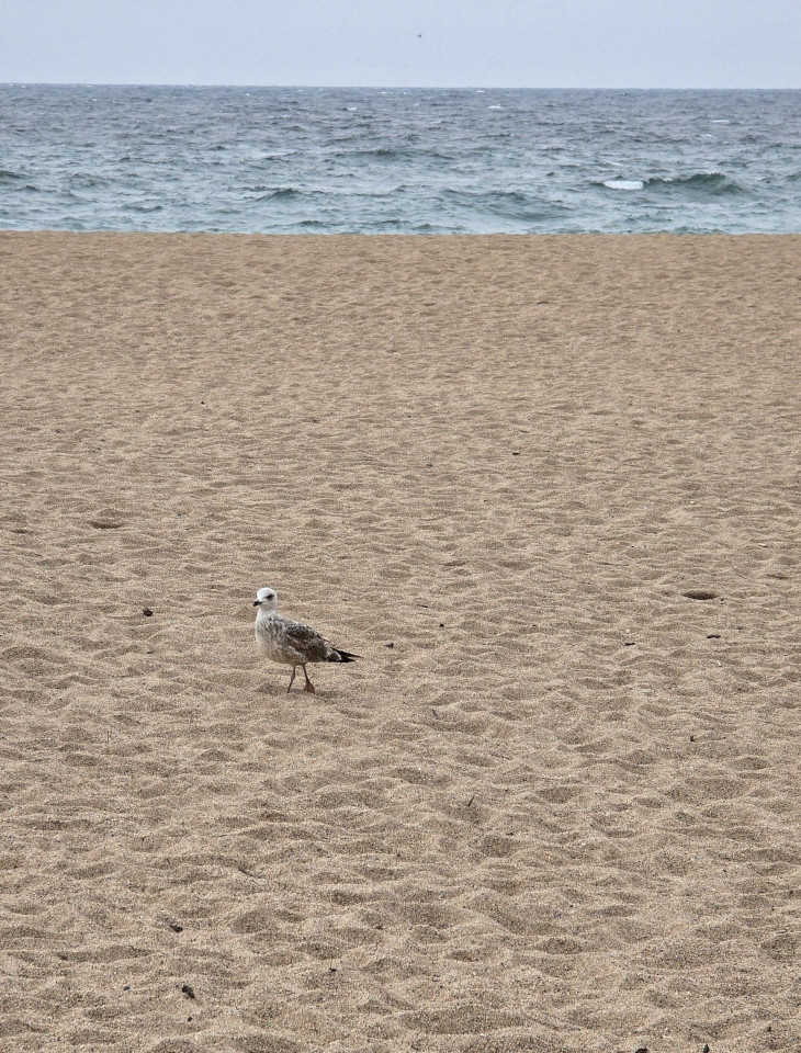 02.11.2024. Espagne : L'Estartit, Pals, Begur