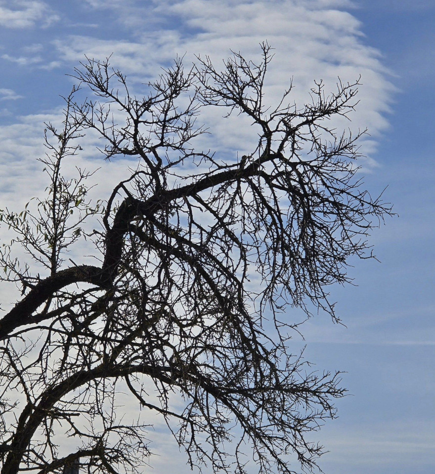18.11.2024. Le Somail, Minerve et divers…