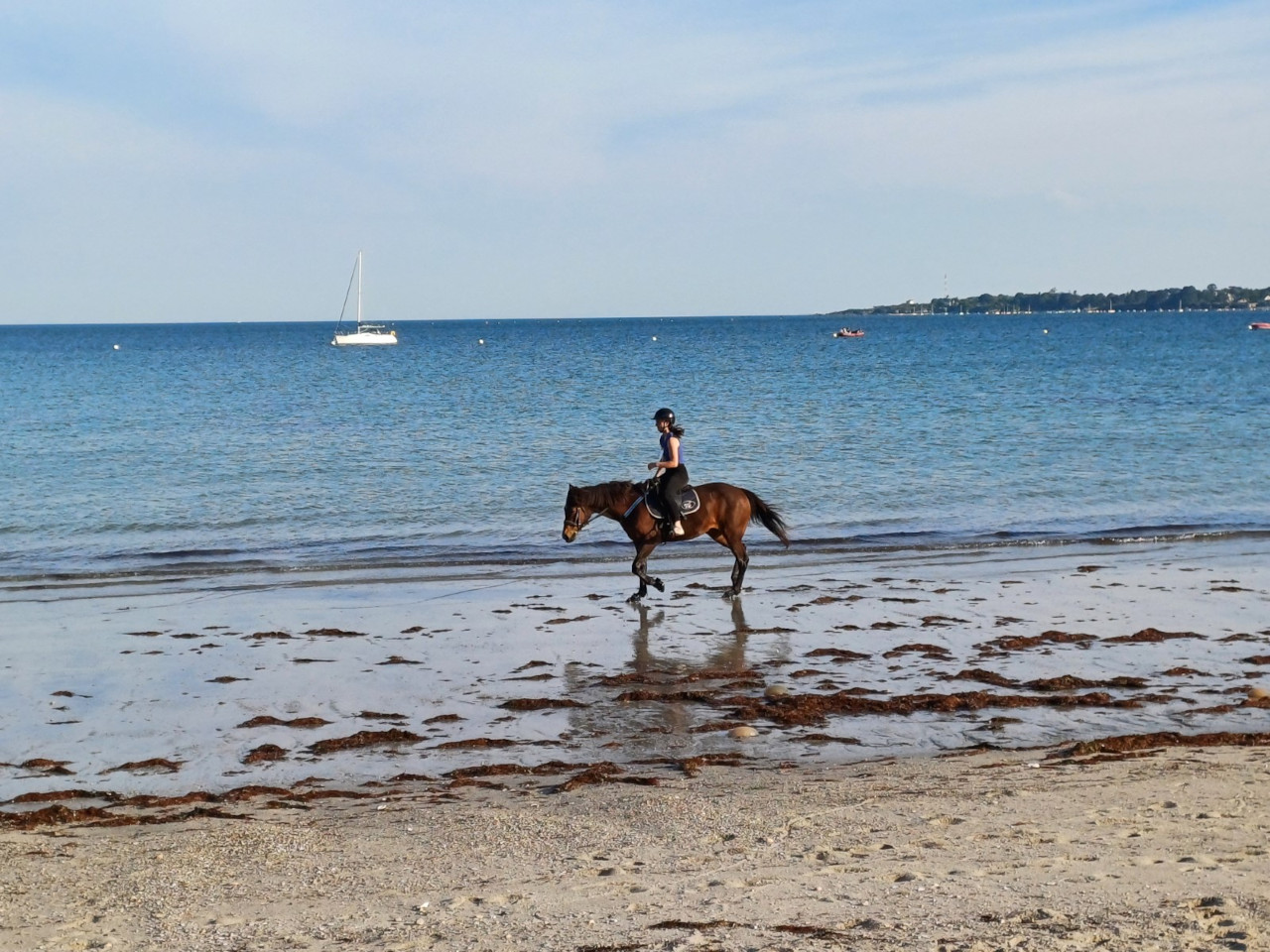 13.10.2024. Vacances bretonnes – mai 2024