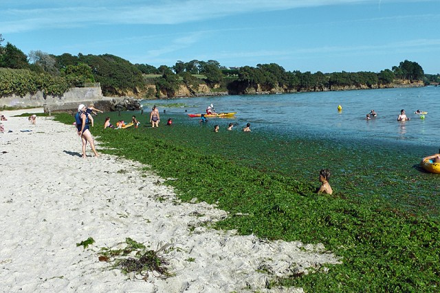15/17. La Forêt-Fouesnant. Les Saules. Marée verte à la plage. Ven 17.08.2012, 17:42.