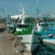 2/10.  Port de Saint-Guénolé. Le retour des pêcheurs. Jeu 08.08.2013 - 16 h 10.