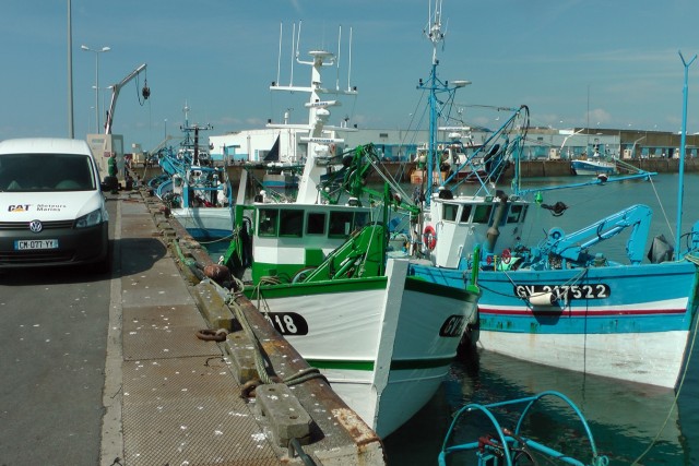 2/10.  Port de Saint-Guénolé. Le retour des pêcheurs. Jeu 08.08.2013 - 16 h 10.