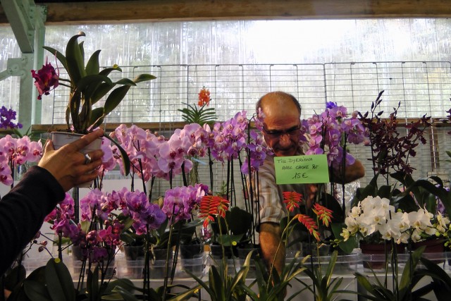 10/24. Le Salon international d'orchidées à Saint-Martin-des-Champs. Dim 29.09.2013, 16 h 00.