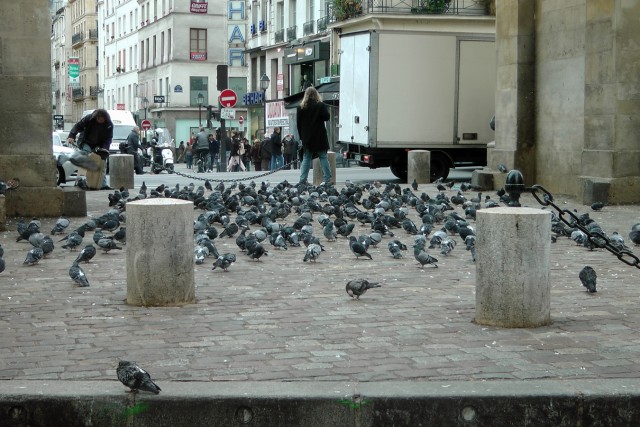 4/18. Paris. Porte Saint-Denis. Les pigeons. Lun 14.10.2013, 13 h 51.