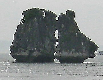 Les deux coqs. Hanoï - Halong