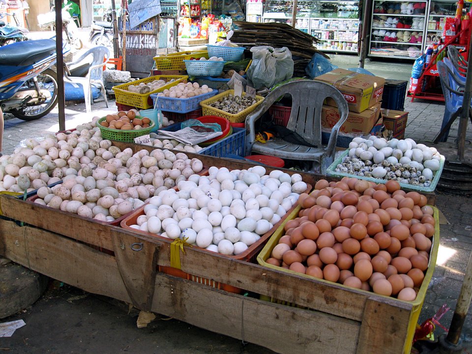 Œufs de cailles, de poules, de canes...