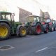8/8. Tracteurs à Lugo. © Bodin. Jeu 10.09.2015, 19h16m06.