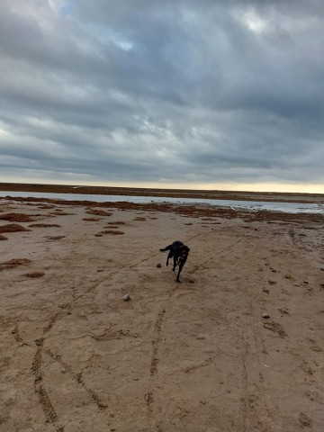 27.11.2022. Étang de l'Ayrolle et littoral