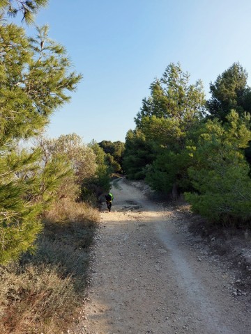 04.03.2023. Bages