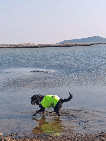 04.03.2023. Bages
