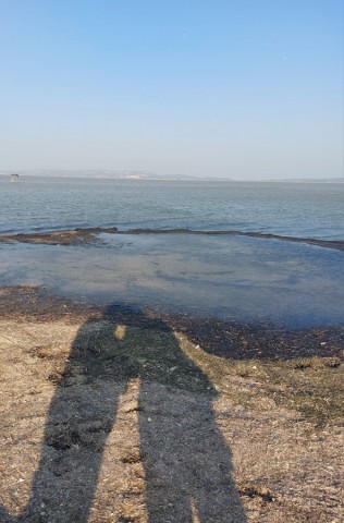 04.03.2023. Bages