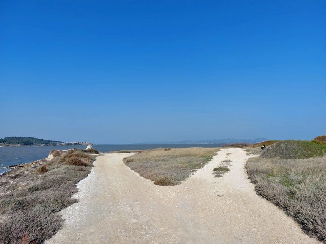 04.03.2023. Bages