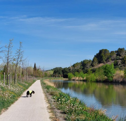 07.04.2023. Le canal du Midi, en Minervois