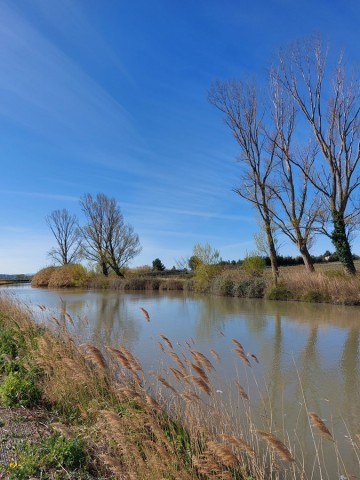 2/11. Canal du Midi. © Pho Tos. Ven 07.04.2023.