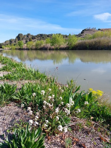 3/11. Canal du Midi. © Pho Tos. Ven 07.04.2023.