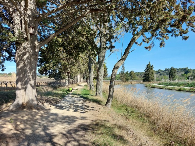 10/11. Canal du Midi. © Pho Tos. Ven 07.04.2023.