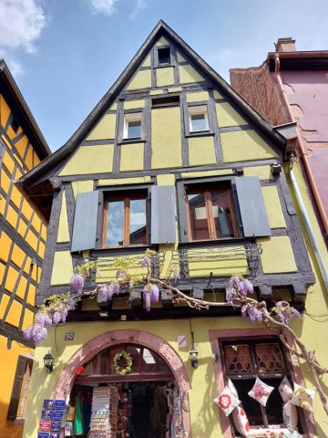 05.05.2023. Nécropole de Sigolsheim, Riquewihr
