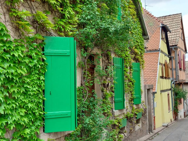 05.05.2023. Nécropole de Sigolsheim, Riquewihr