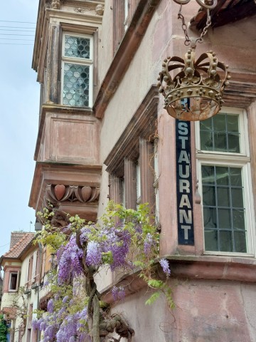 05.05.2023. Nécropole de Sigolsheim, Riquewihr