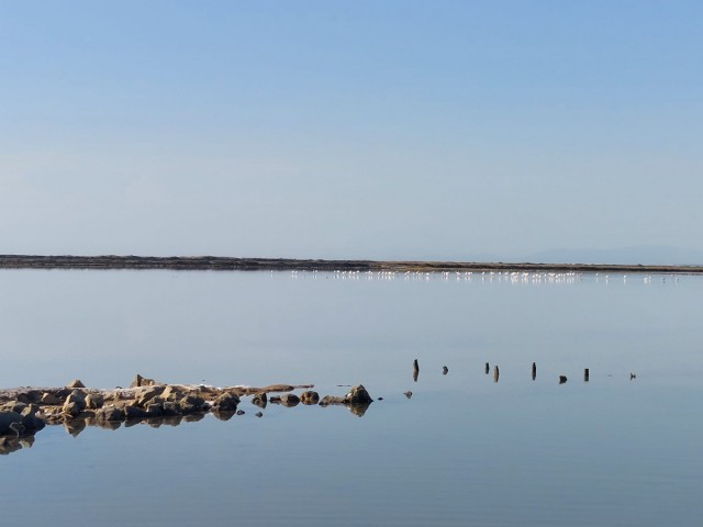 23.07.2023. Promenade à Gruissan