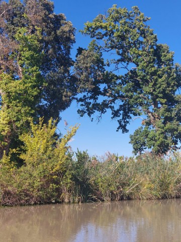 25.09.2023. Somail, sur le Canal du Midi