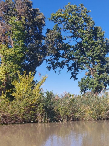 7/11. Le Somail, sur le Canal du Midi. © Pho Tos. Lun 25.09.2023.