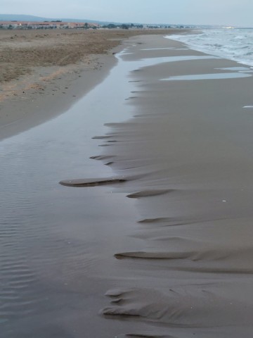 15.10.2023. Fleurs, ciel, mer