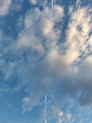 15.10.2023. Fleurs, ciel, mer
