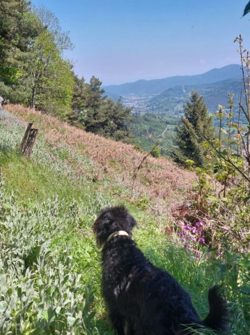 10.05.2024. L'Ascension dans les Vosges alsaciennes