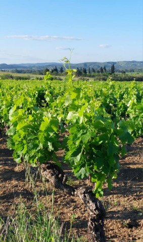 01.06.2024. Dernières de mai, premières de juin