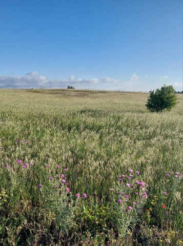 01.06.2024. Dernières de mai, premières de juin