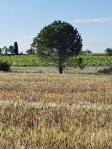 01.06.2024. Dernières de mai, premières de juin