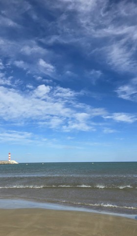03.07.2024. Chien, oiseaux, Gruissan, Port-la-Nouvelle