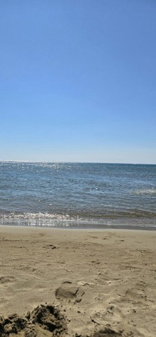 12.08.2024. Gruissan : Les chalets. Toujours à fond. Virée retrouvailles. On dirait des estampes