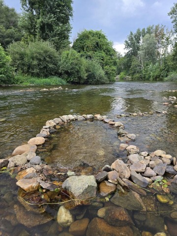 24.08.2024. Bestioles, Mer à 19,5°, passerelle de Mazamet, Castres, Cordes-sur-Ciel, St-Martin-Laguépie