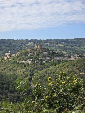 26.08.2024. Najac, Caylus